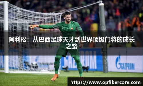 小鸟综合体育官方网站