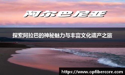 小鸟综合体育官方网站