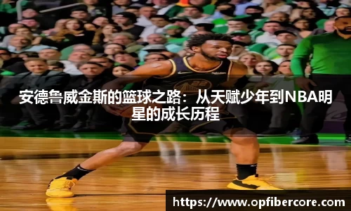 小鸟综合体育官方网站